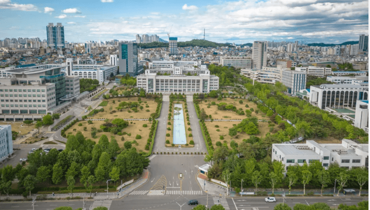 ‘2024 QS 세계대학 학문분야 평가’서 세...